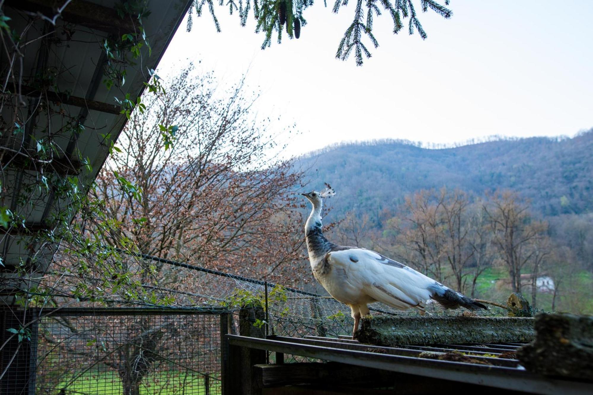 Cascina Canale Sabbio Chiese Dış mekan fotoğraf