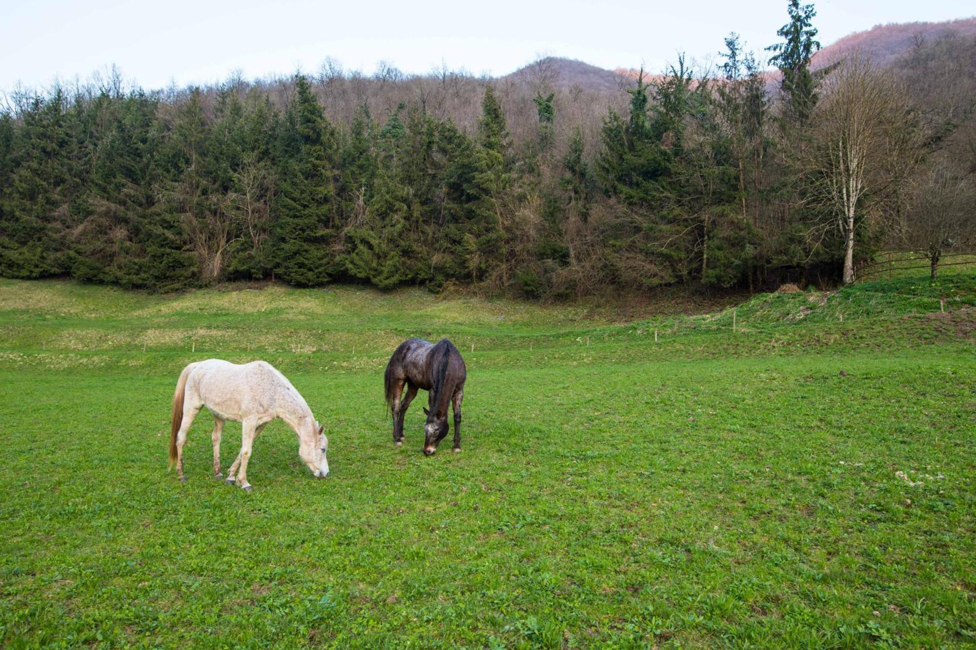 Cascina Canale Sabbio Chiese Dış mekan fotoğraf